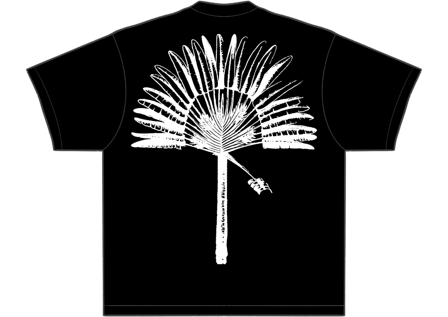 Palm. av